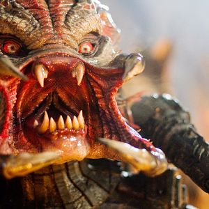 The Berserker Predator 09