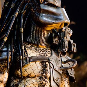 Classic Predator 01