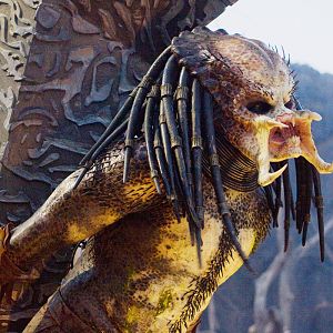 Classic Predator 08