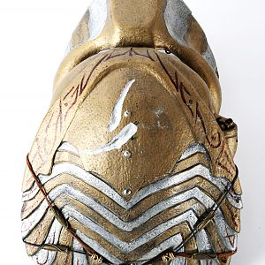 Elder Predator Helmet 1 3