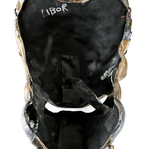 Elder Predator Helmet 1 8