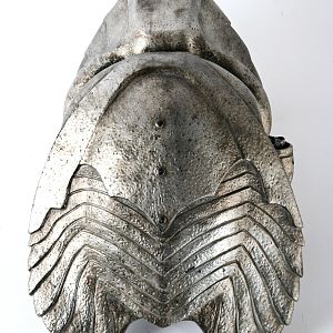 Elder Predator Helmet 2 3