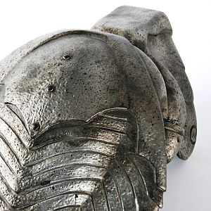 Elder Predator Helmet 2 4