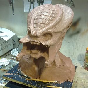 Sculpting of the OxyR Predator