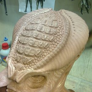 Sculpting of the OxyR Predator