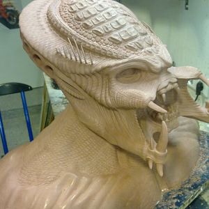 Sculpting of the OxyR Predator