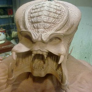 Sculpting of the OxyR Predator