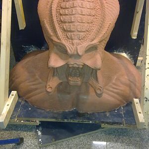 Sculpting of the OxyR Predator