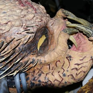 AVP Predator Elder Mask 4