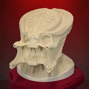 OxyR Predator Bust DoItYourself