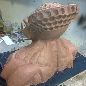 Sculpting of the OxyR Mask