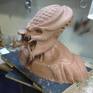 Sculpting of the OxyR Mask