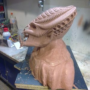 Sculpting of the OxyR Mask