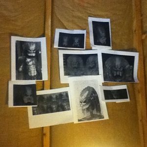 IMG 1544