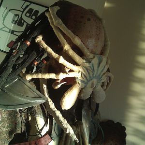 Facehugger