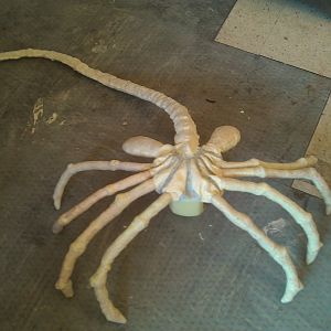 Facehugger