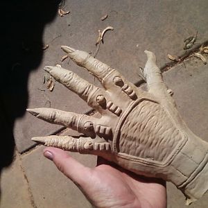 hand painting