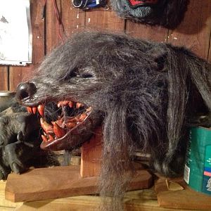 werewolf mask