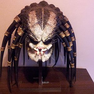 Predator 1 Mask