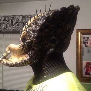 Side view, with elder neck ring, no dreads