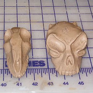 artic pred feet with lifts 007.jpg