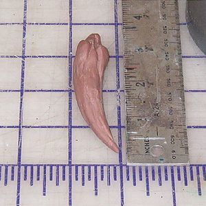 Copy of narin blade 004.jpg