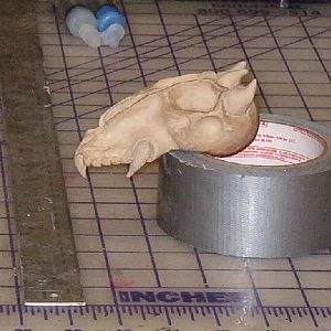 Copy of narin blade 006.jpg