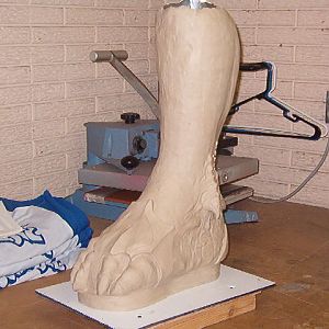 artic pred feet with lifts 003