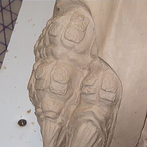 artic pred feet with lifts 012