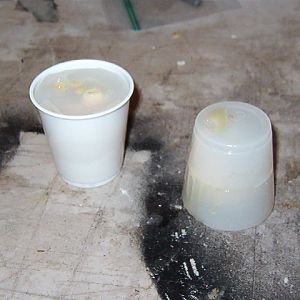 artic pred feet with lifts 038.jpg