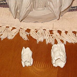 artic pred feet with lifts 039.jpg