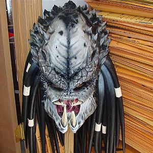 artic pred head.jpg