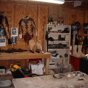 artic pred stuff 003.jpg