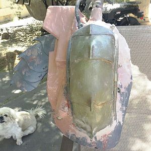 CAM00446