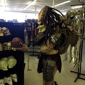 skull shopping
