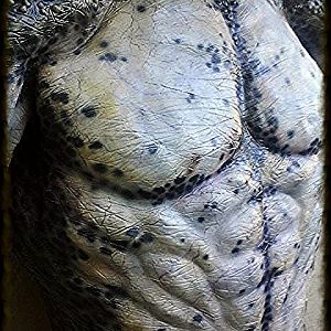 CUSTOM PREDATOR (LEVIATHAN) FOR SCOTT