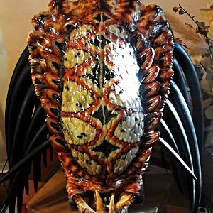 PREDATOR 2 MASK
