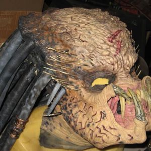 AVP: Screen Used Elder