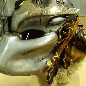 Predators:  Noland Helmet 1