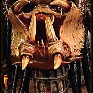 ELDER PREDATOR