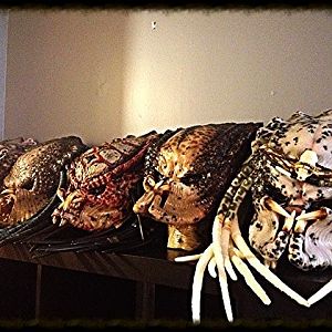 ELDER PREDATOR