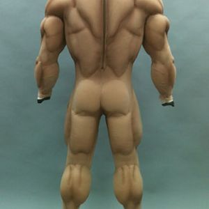 Human Muscle Suit Back