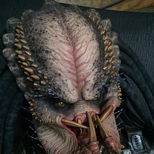 Elder2