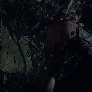 65