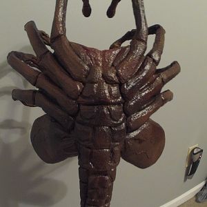 Latex coated upholstery foam facehugger