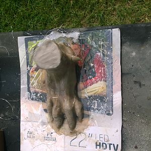 WP 20140717 17 00 16 Pro