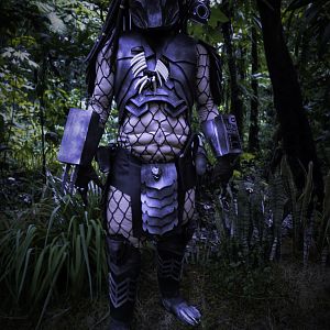 Me, as Predator