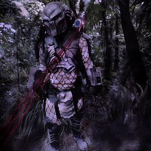 Me, as Predator