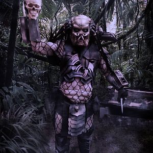 Me, as Predator