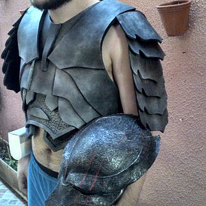 Chest and shoulder armor painted with bio helm!